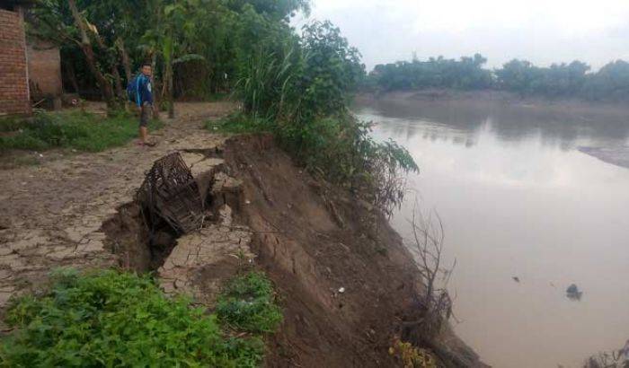 Desa Banjarejo Bojonegoro Terus Longsor, Sebagian Kampung Jadi Sungai