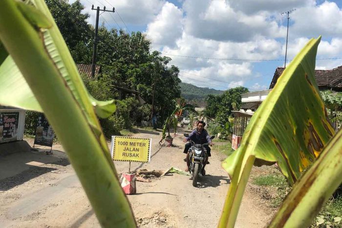 Jalan Tak Kunjung Diperbaiki, Warga Sumberagung Tulungagung Tanami Pohon Pisang