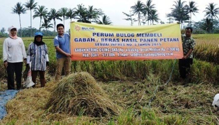 Tingkatkan Kesejahteraan Warga Malang Raya & Pasuruan, Bulog Siap Borong Hasil Panen Petani