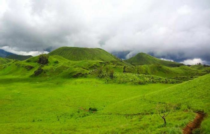 Tingkatkan PAD, Bupati Bondowoso akan Berlakukan Retribusi Wisata