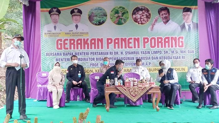 Varietas Paling Unggul di Indonesia, Porang Madiun Diapresiasi Mentan Syahrul Yasin Limpo