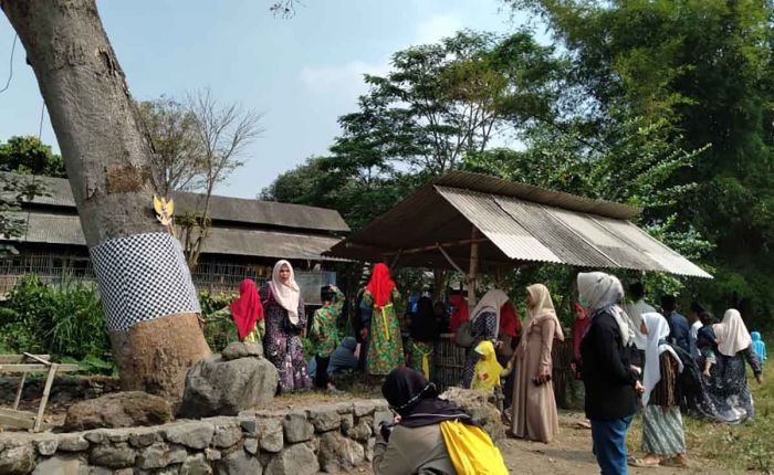 Generasi Muda Gelar Napak Tilas Pohon Kepuh Bersejarah, Tempat Soekarno Muda Menggali Pancasila