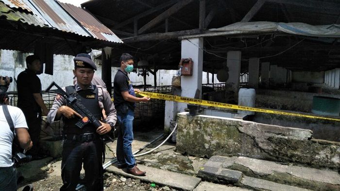 Cemari Lingkungan, Polisi Tutup Kandang Ternak Ribuan Babi di Blitar