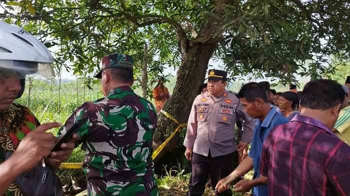 Heboh, Mayat Perempuan Muda Dibakar, Dibuang di Pinggir Sawah