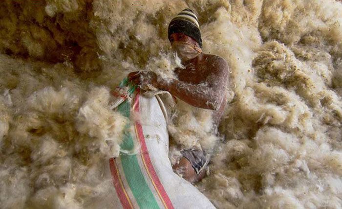 Ini Daftar Pemenang Lomba Foto Petrogas, Ada Keindahan Hutan Jati Hingga Tambang Tradisional