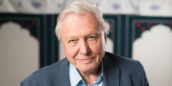 Sir David Attenborough, berawal dari hati. foto: repro standard.co.uk